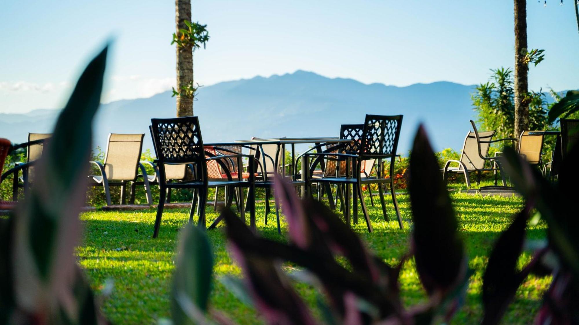 Buena Vista Chic Hotel Pilas Eksteriør bilde